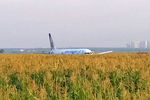 На месте аварийной посадки самолета A321 «Уральских авиалиний» в Подмосковье, 15 августа, 2019 года