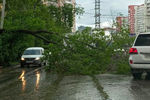 Последствия Урагана в Екатеринбурге, 25 мая 2020 года