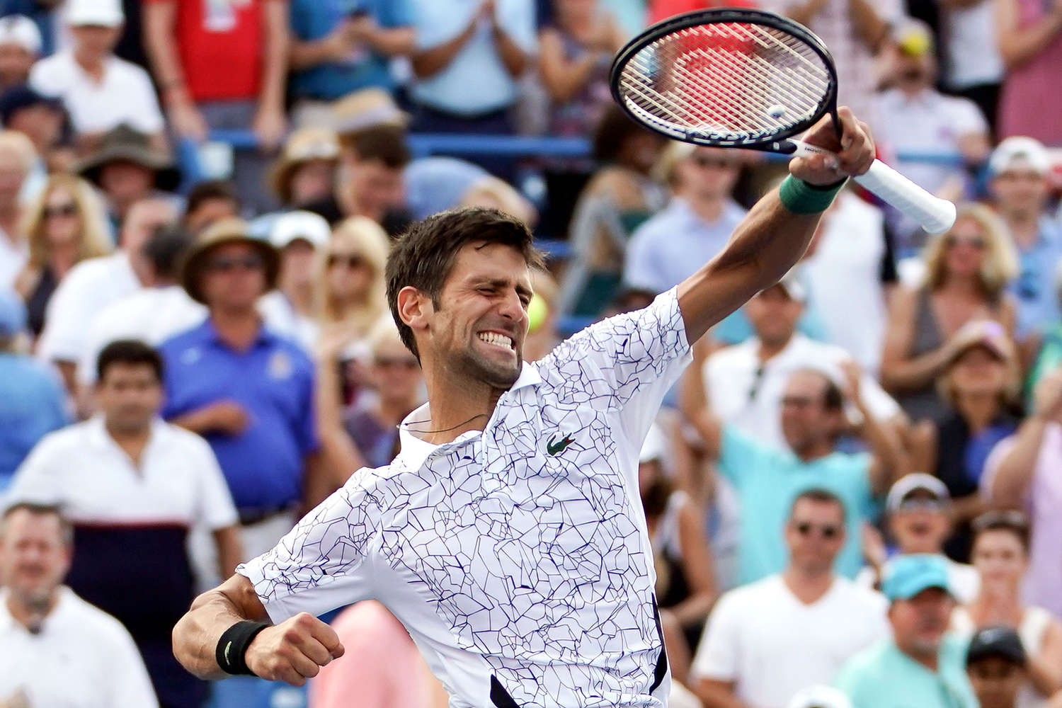 Новак Джокович выиграл Australian open.. Джокович паук. Сербский теннисист.