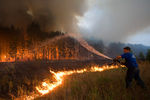 Лесные пожары в Рязанской области