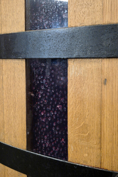 Процесс брожения винограда 