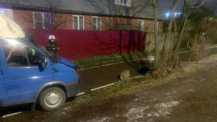 Суд арестовал водителя, который пьяным насмерть сбил младенца в Новой Москве