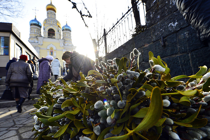 Продажа вербы у&nbsp;Покровского кафедрального собора во Владивостоке