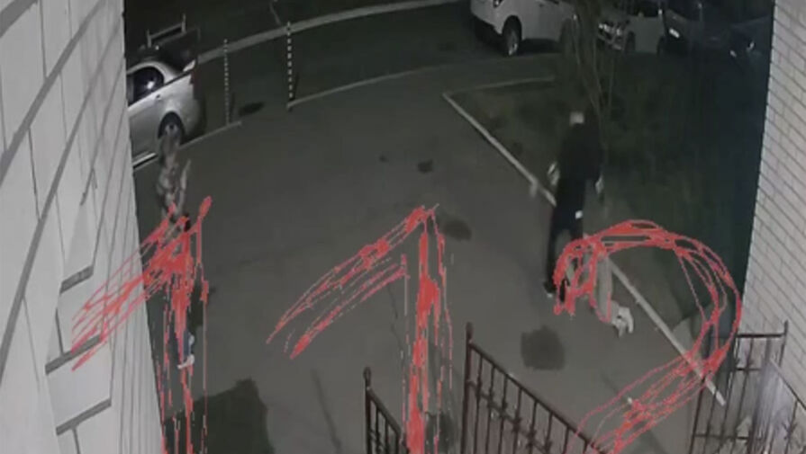 Житель Читы зарезал 35-летнюю экс-возлюбленную на пороге дома и покончил с собой