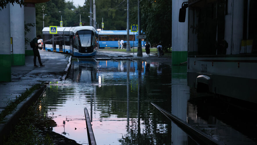 За полтора часа в Москве выпала половина месячной нормы осадков