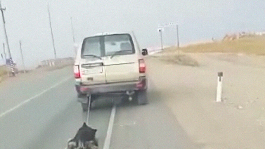 В Забайкалье водитель Toyota Land Cruiser протащил за машиной привязанную собаку