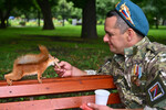 Ветеран-десантник во время празднования Дня Воздушно-десантных войск в Парке Горького в Москве, 2 августа 2024 года