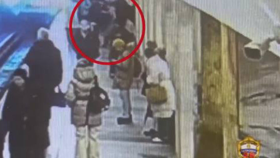 В Москве полицейские задержали пассажира, напавшего на женщину в метро