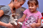 Школьница из Хакасии Ольга Марущенко (слева) с сестрой играют со щенком хаски