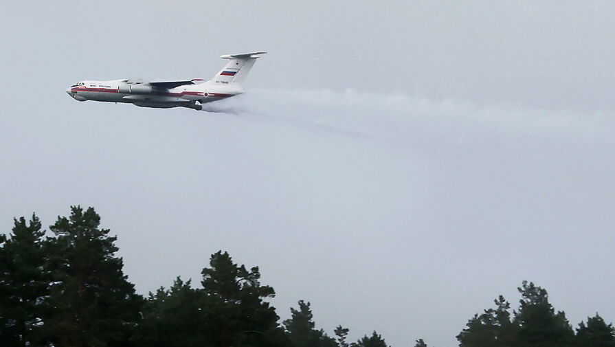 Лесной пожар в Верхнедонском районе Ростовской области ликвидирован