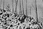 В районе взрыва Тунгусского метеорита, 1966 год