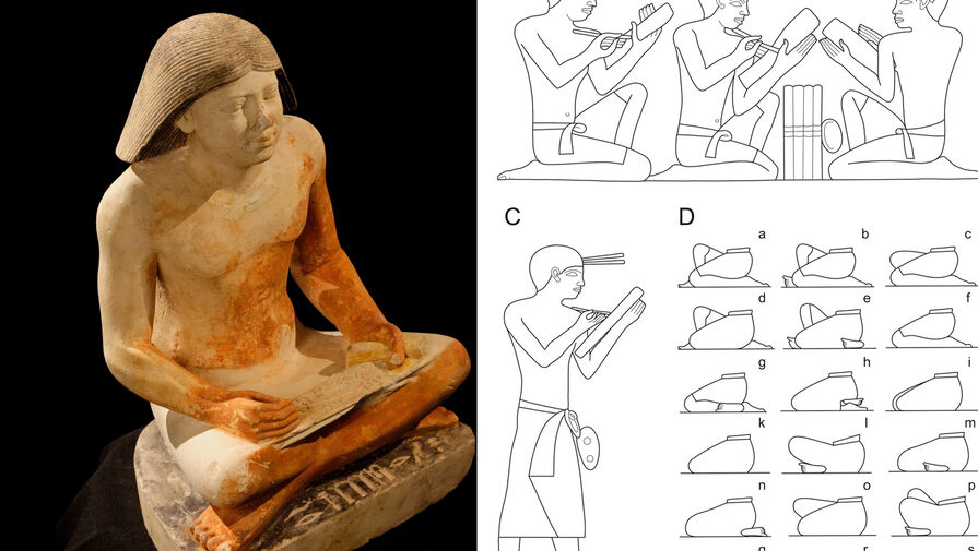 Ученые выяснили профессиональные заболевания "офисных работников" Древнего Египта