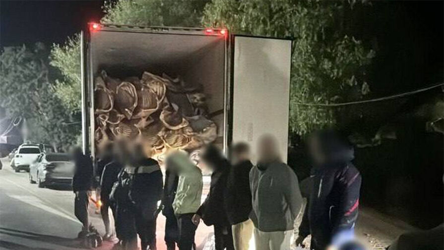 Уклонисты пытались сбежать из Украины под видом мяса
