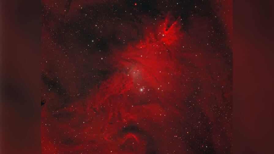 Роскосмос показал фото туманности Рождественская елка