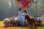 Свадебная церемония в провинции Ратчабури, Таиланд