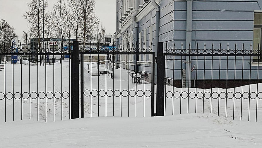 В Петербурге судья не смог прийти на заседание из-за неубранного снега
