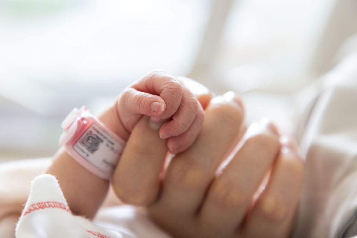 На серийного донора спермы, от которого родилось 550 детей, подали в суд -  Газета.Ru | Новости