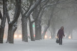 Во время сильного снегопада на одной из улиц города