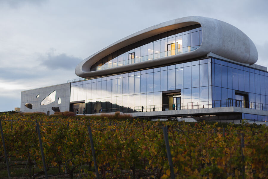 Французский замок и дегустация под звездами: 5 виноделен, которые стоит посетить в Краснодарском крае