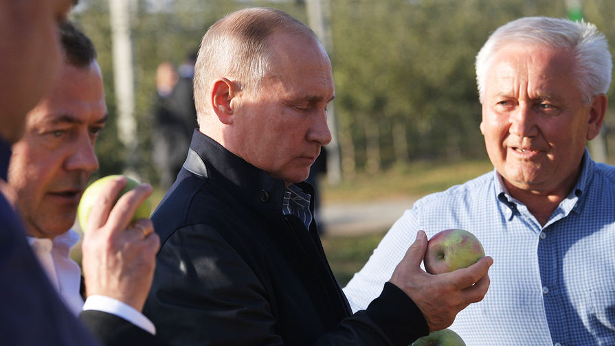 Путин любит яблоки и неравнодушен к грушам