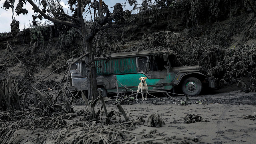 Последствия выброса пепла вулканом Таал на&nbsp;Филиппинах, 13 января 2020 года