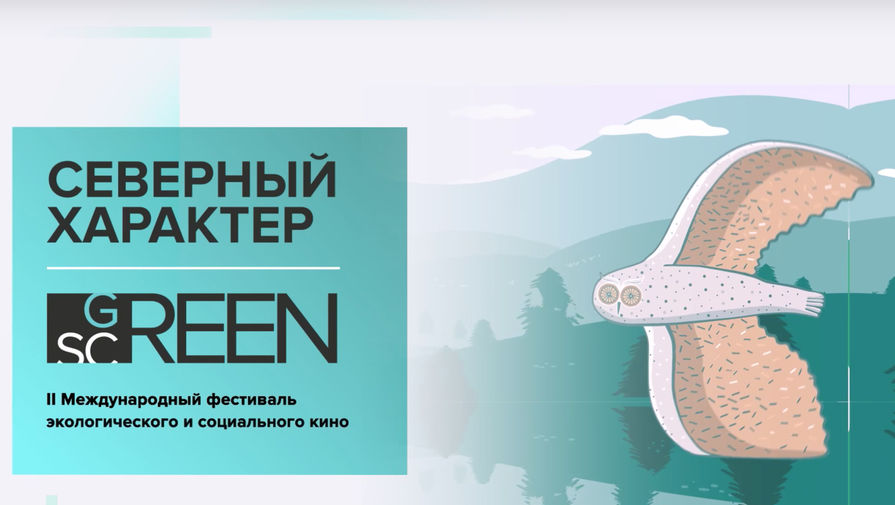 Международный кинофестиваль "Северный Характер: green screen" пройдет в Мурманской области