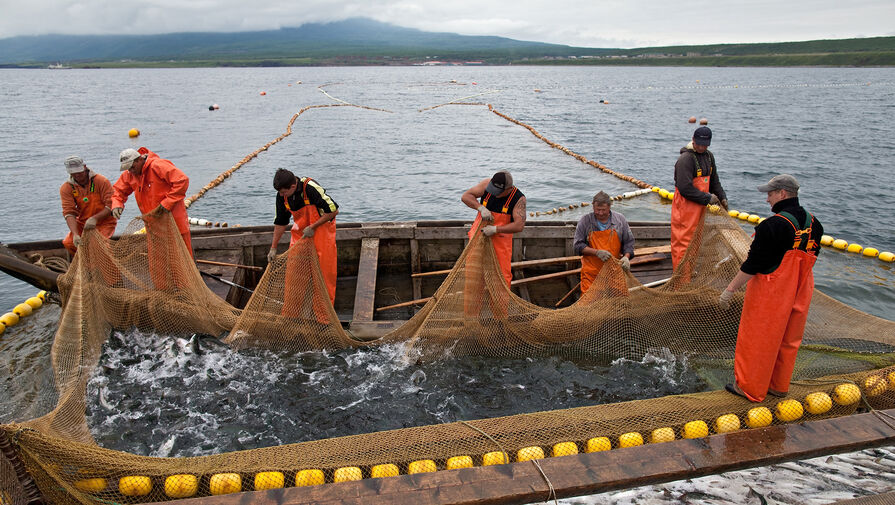 "Прискорбное и несправедливое решение". Почему Россия запретила ввоз рыбы из Японии