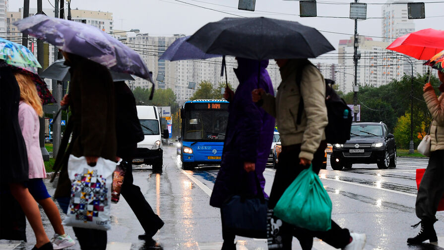 Москвичей предупредили о небольшом дожде 9 октября