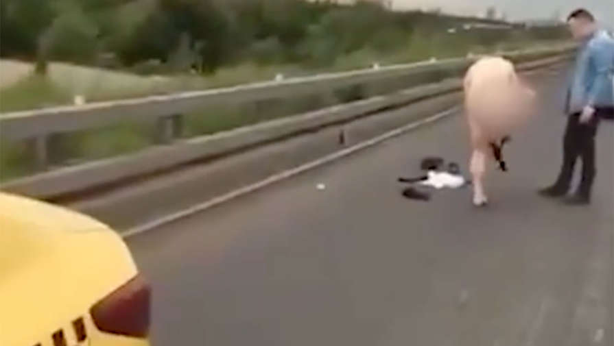 На МКАД водитель такси выскочил из автомобиля и разделся