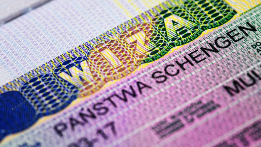 Германия с начала года выдала россиянам около 5000 шенгенских виз