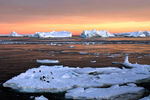 Антарктида самое холодное место на земле. В 1983 году на советской станции «Восток» была зафиксирована температура - 89,6°С. На сегодняшний день это абсолютный температурный минимум зафиксированный на Земле