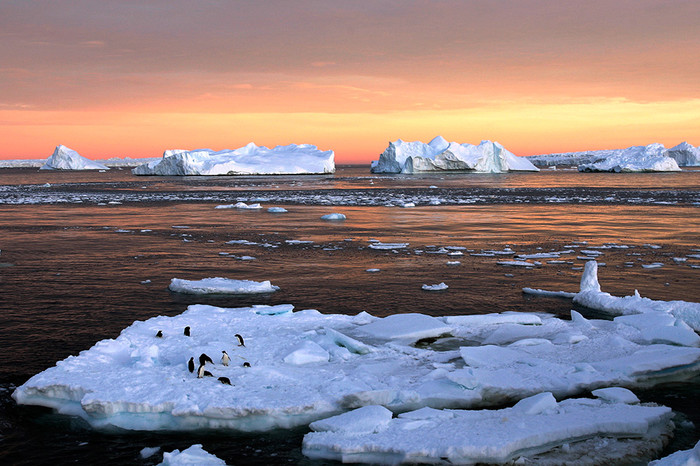 Антарктида самое холодное место на&nbsp;земле. В&nbsp;1983 году на&nbsp;советской станции «Восток» была зафиксирована температура&nbsp;- 89,6&deg;С. На&nbsp;сегодняшний день это абсолютный температурный минимум зафиксированный на&nbsp;Земле