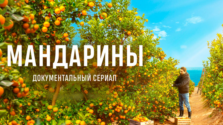Документальный сериал об абхазских мандаринах вышел онлайн