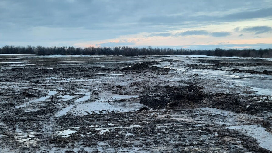 В российском регионе из-за разгерметизации нефтепровода произошло загрязнение почвы