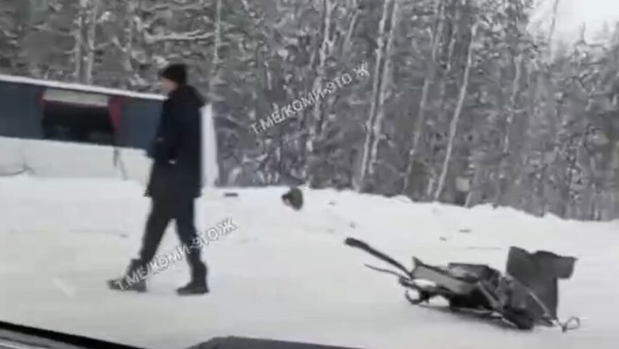 Автобус с детьми вылетел в лес при ДТП в Коми и попал на видео