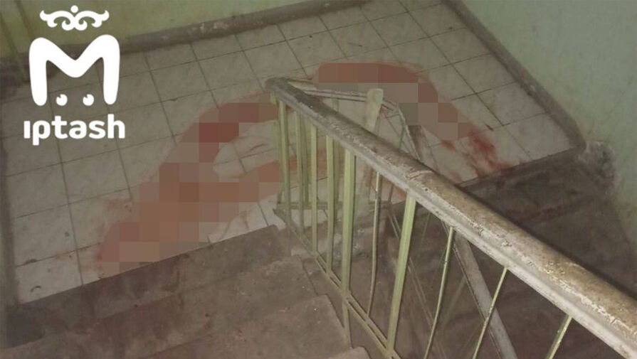 В Татарстане мужчину обвинили в убийстве и расчленении бездомной собаки в общежитии
