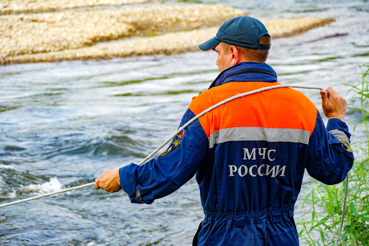 Заблудившегося мужчину нашли ночью в лесу Сочи - Газета.Ru | Новости