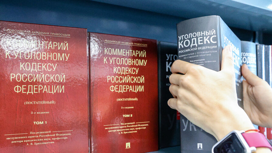 В статью УК могут добавить пункт о нелегальном пребывании иностранцев в России