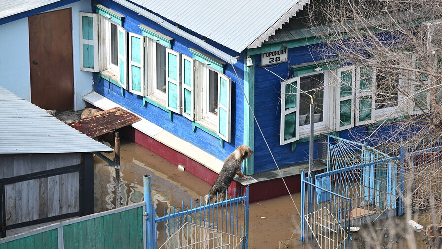 Число затопленных паводком домов в приморском Дальнереченске выросло