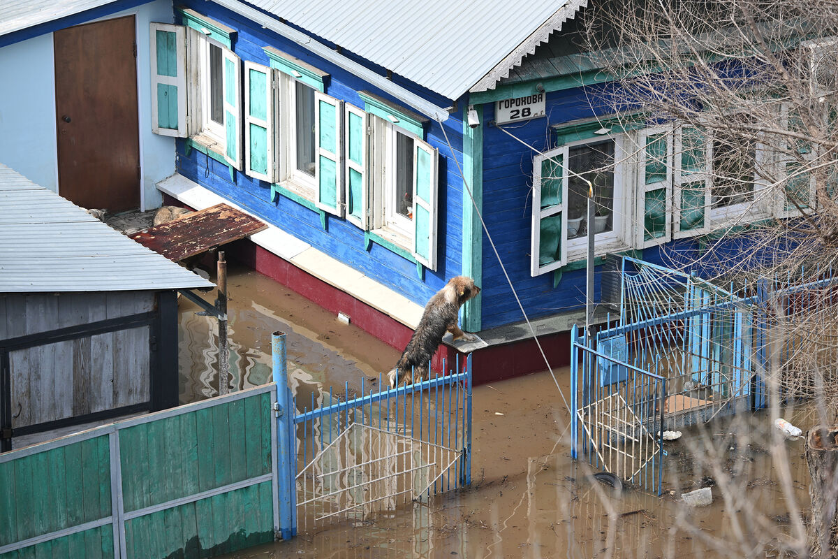 Число затопленных паводком домов в приморском Дальнереченске выросло -  Газета.Ru | Новости