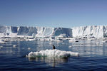 Максимальная толщина льда в Антарктиде превышает 4 км.