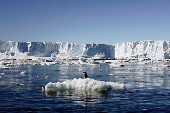 Максимальная толщина льда в&nbsp;Антарктиде превышает 4&nbsp;км.