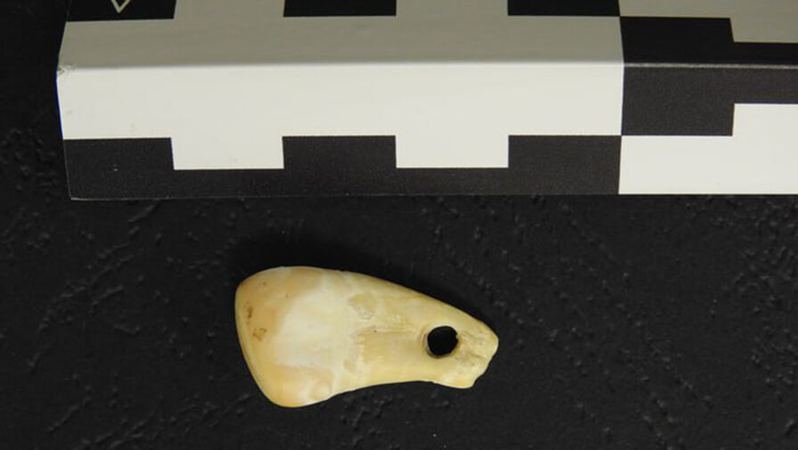 Ученые извлекли ДНК человека из найденной в Денисовой пещере подвески из зуба оленя
