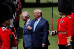 Президент США Дональд Трамп и принц Чарльз во время встречи в Букингемском дворце в Лондоне, 3 июня 2019 года 