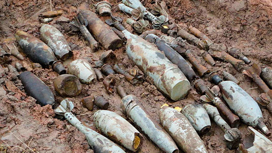 Житель Подмосковья нашел невзорвавшиеся боеприпасы в лесу