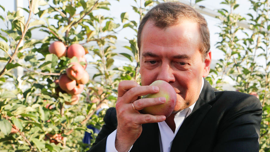 Председатель правительства России Дмитрий Медведев во время осмотра яблоневых садов в&nbsp;Ставропольском крае, 9 октября 2018 года