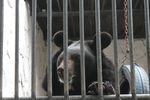 Зоопарк в Луганске