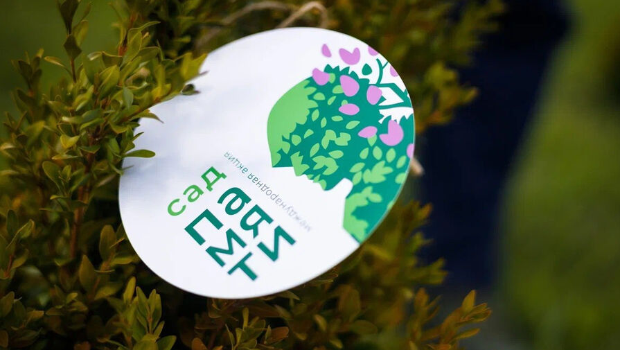 Седьмой сезон акции Сад памяти стартовал в День воссоединения Крыма с Россией