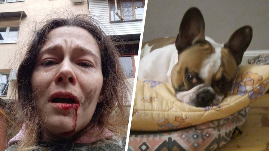 Пенсионер избил палкой женщину за то, что она якобы вычесывала собаку на улице