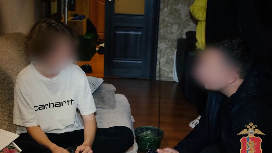 В Красноярске подросток заказал минирование школы, чтобы не идти на контрольную